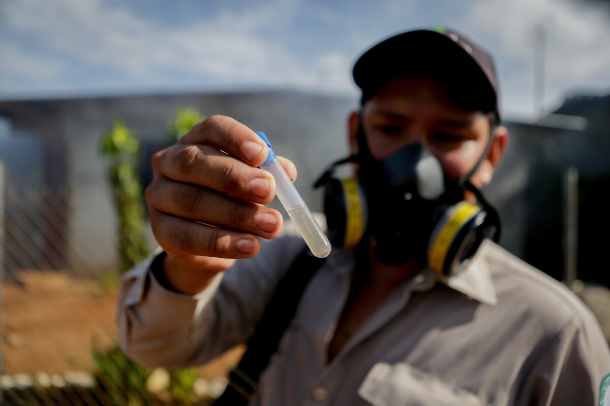 El dengue acecha. Más de mil casos se han registrado a la fecha en el país