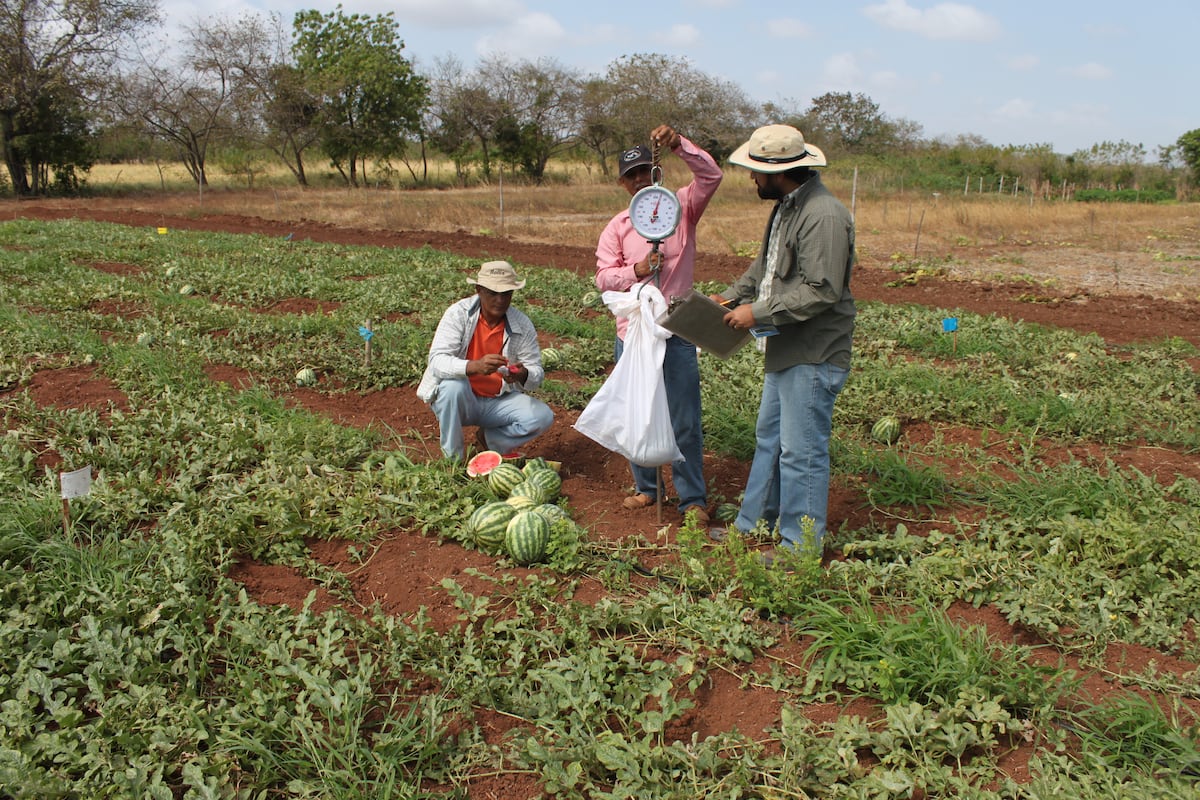 Anovel Barba, gana primer concurso de ‘Ideaton Panamá'