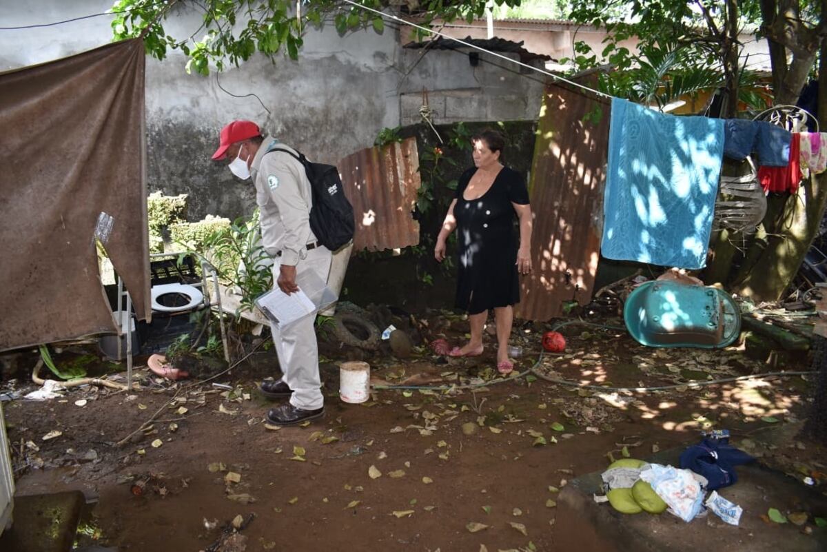 Caída significativa de los casos de dengue
