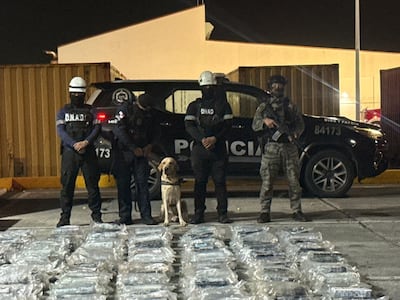 Cargamento de droga proveniente de EE.UU. fue interceptado en Panamá