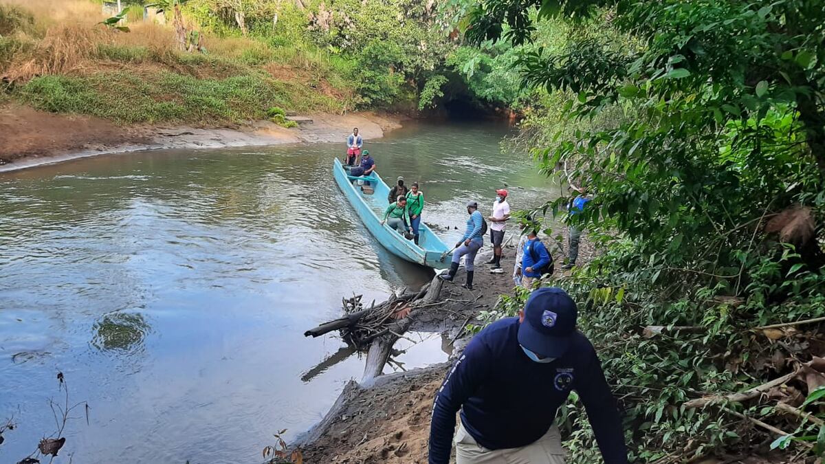 Talan 188 hectáreas en Darién. Ministerio Público abrió una investigación, va tras los culpables