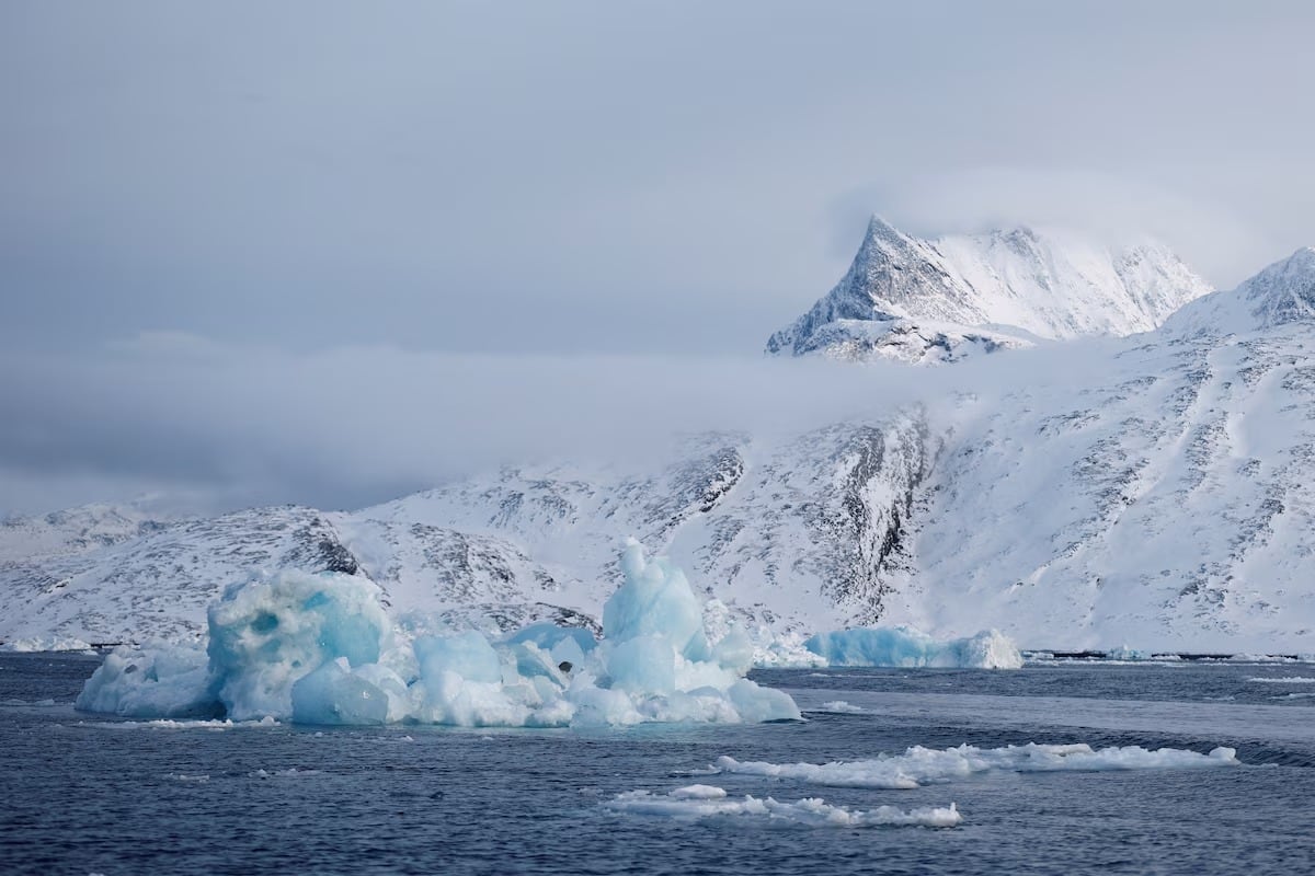 ¡Descubrimiento aterrador en la Antártida! Lo que encontraron bajo un iceberg gigante dejó sin palabras a los científicos