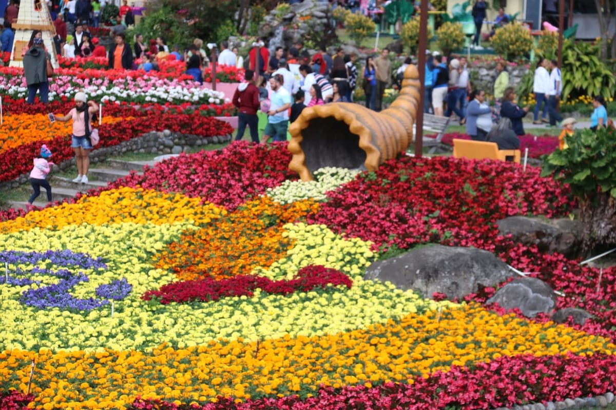 Este jueves se inauguró la Feria de La Flores y el Café en Boquete