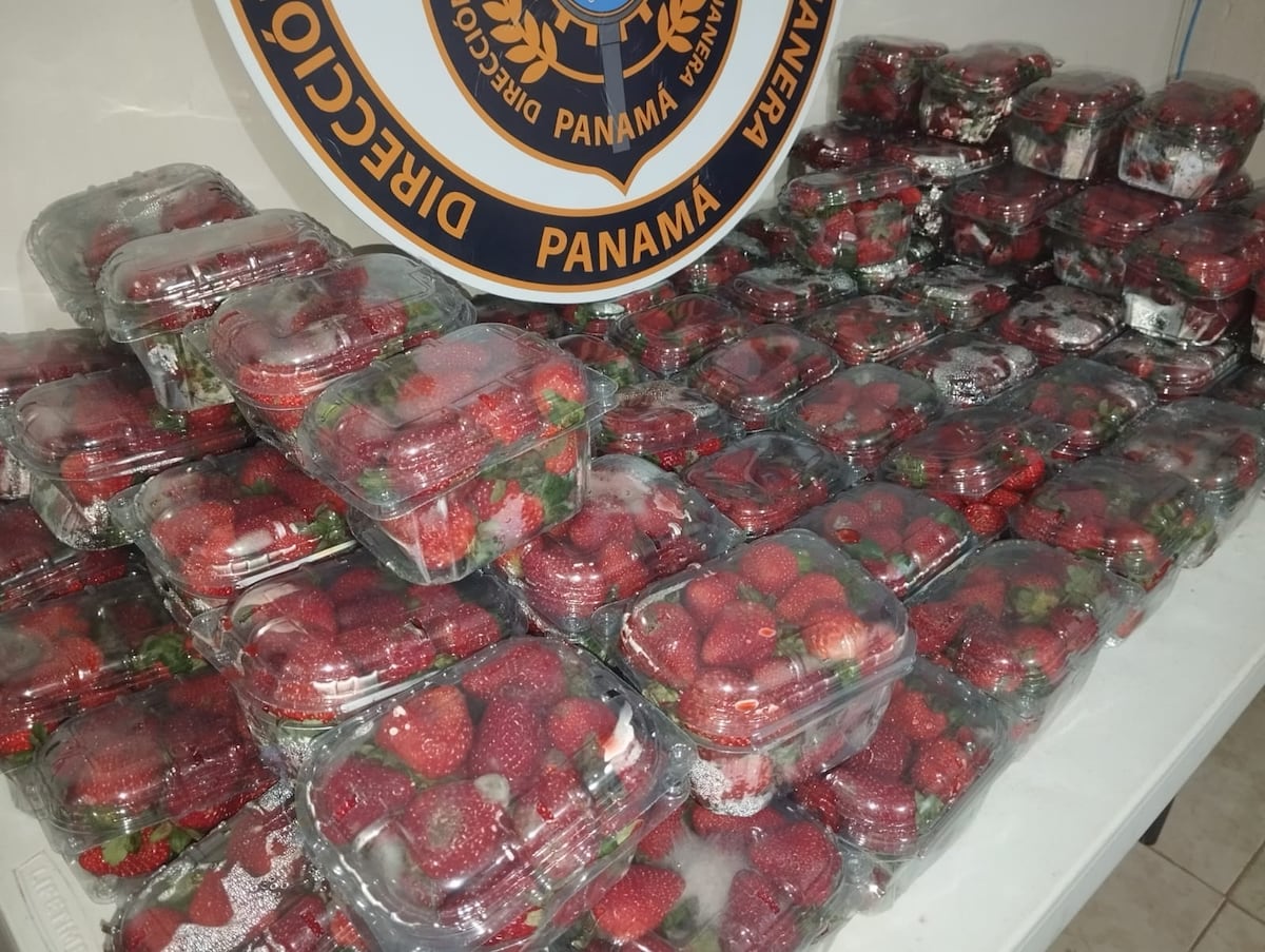 Carga irregular al descubierto: Retienen cigarrillos, fresas y hasta repuestos sin respaldo legal