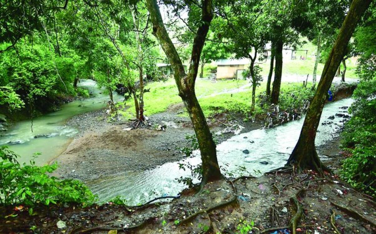 MURIERON LOS DOS. Se lanzó al río por su hermano, te contamos cómo pasó