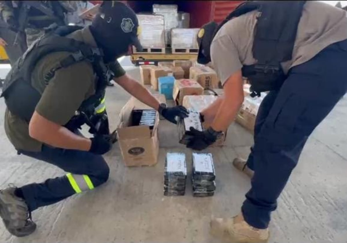Carga iba rumbo a España: declaraba extractos vegetales y ocultaba 510 paquetes de presunta droga