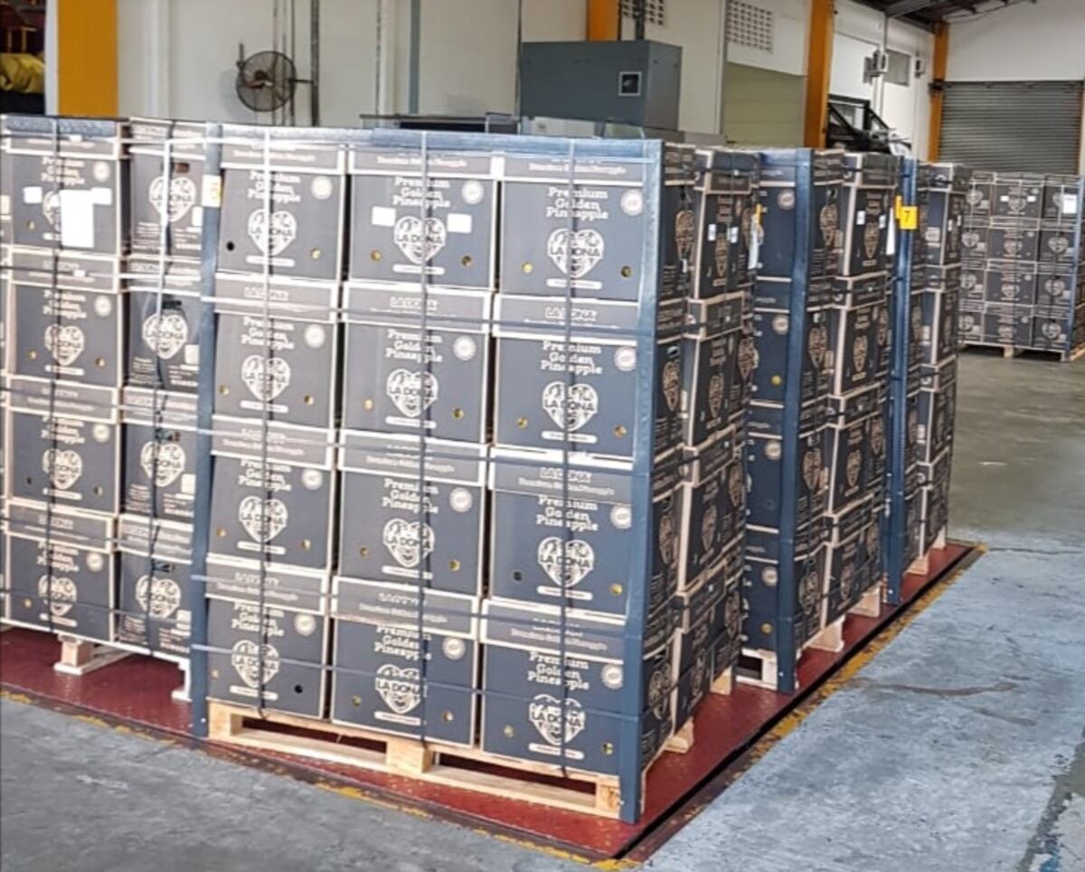 Empresa panameña exportará 120 contenedores de zapallo