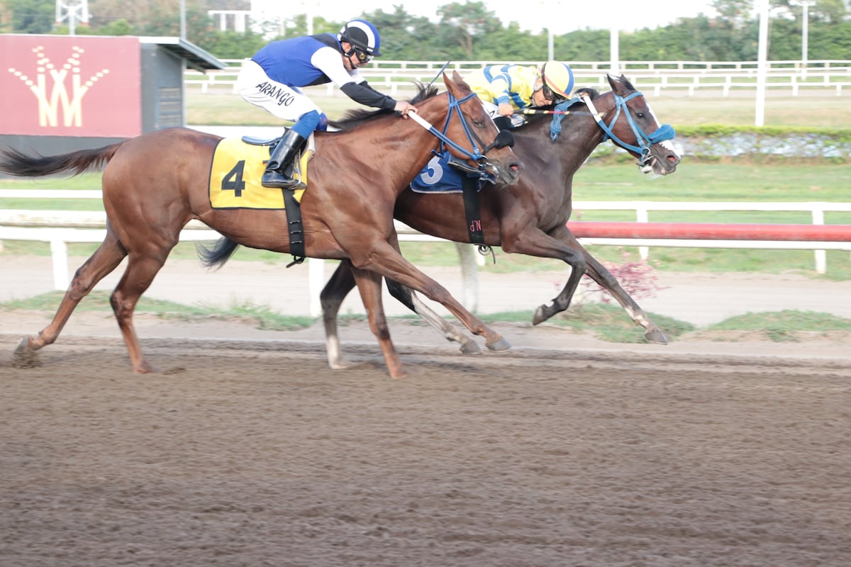 ‘Dejanira’ sorprende en el Hipódromo Presidente Remón y se lleva el Clásico 