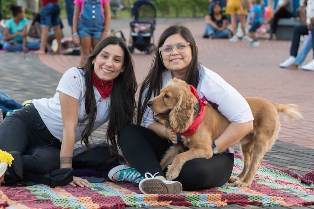 Cine bajo las estrellas: Cine Picnic vuelve este fin de semana