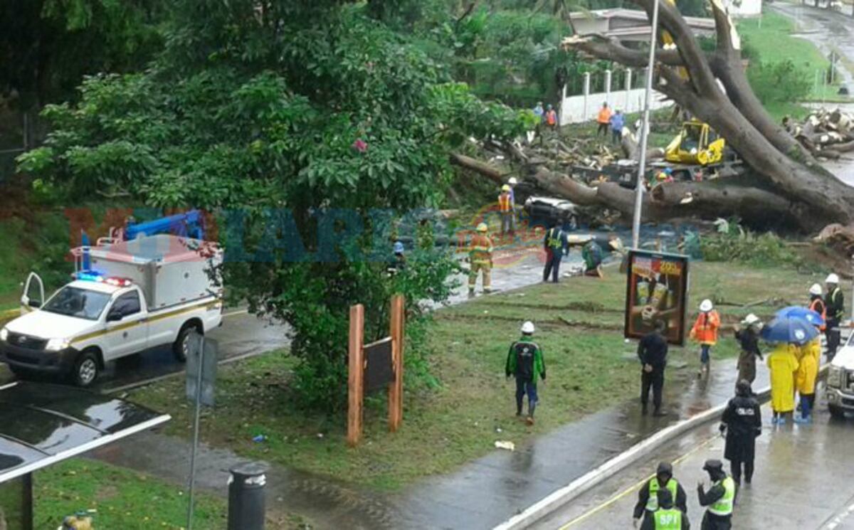 'Jamás pensó que su hijo moriría de esa manera'