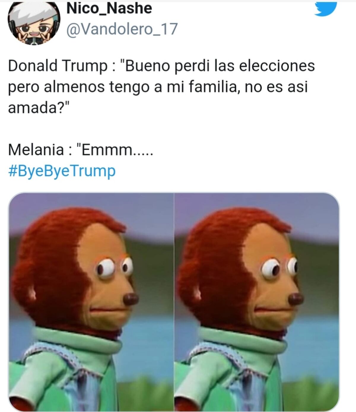#ByeByeTrump. Las elecciones de E.E.U.U. dejaron memes buenísimos, chequea
