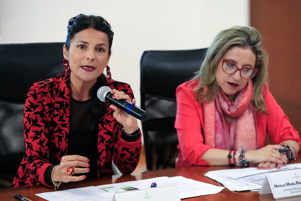 Colombia ordena sacrificio de hipopótamos para frenar crisis ambiental