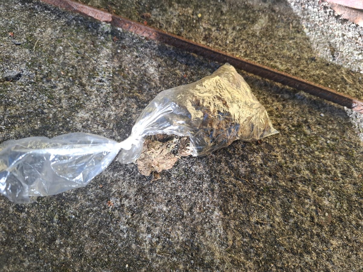 Les paran el parking: 36 personas aprehendidas con armas y presuntas drogas en Gorgona