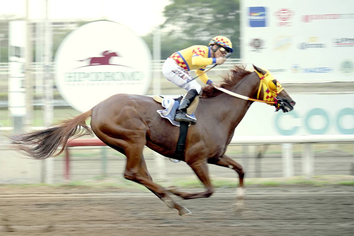 Mandan y se mantienen: los líderes confirman su dominio