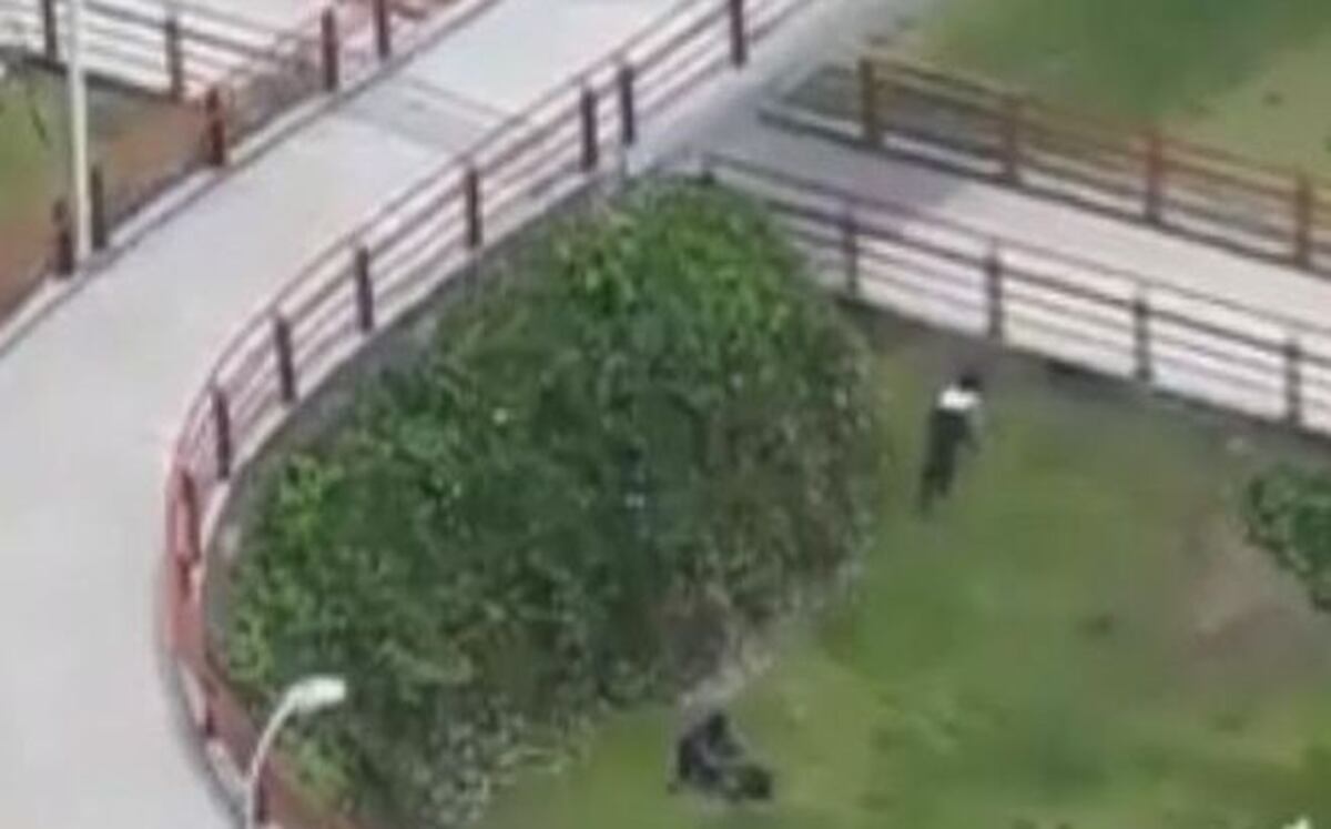 (+18) Circula video triple x. Los captan en plena ponchera en la Cinta Costera