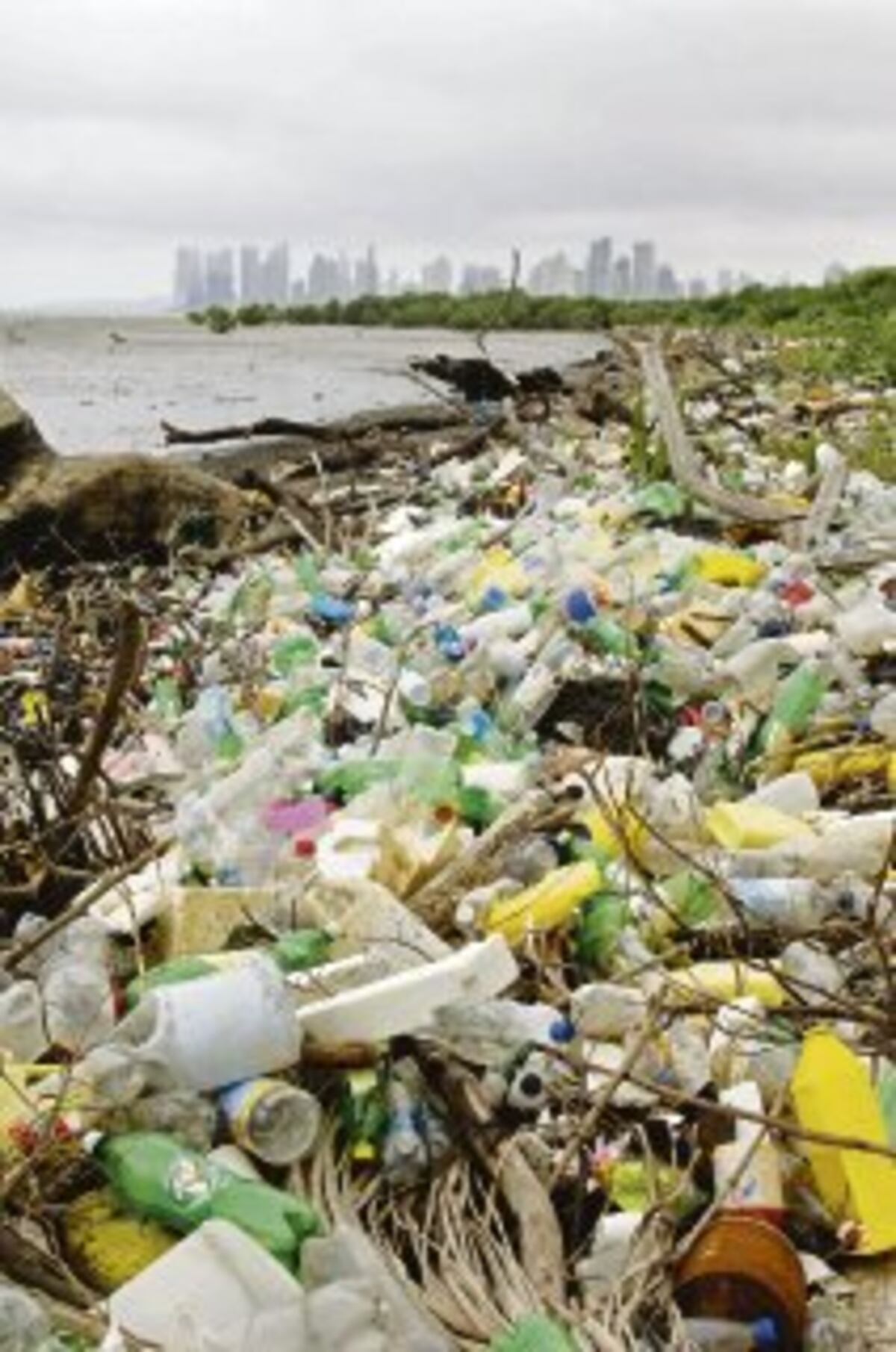 Greenpeace insta a tomar medidas globales contra la crisis del plástico