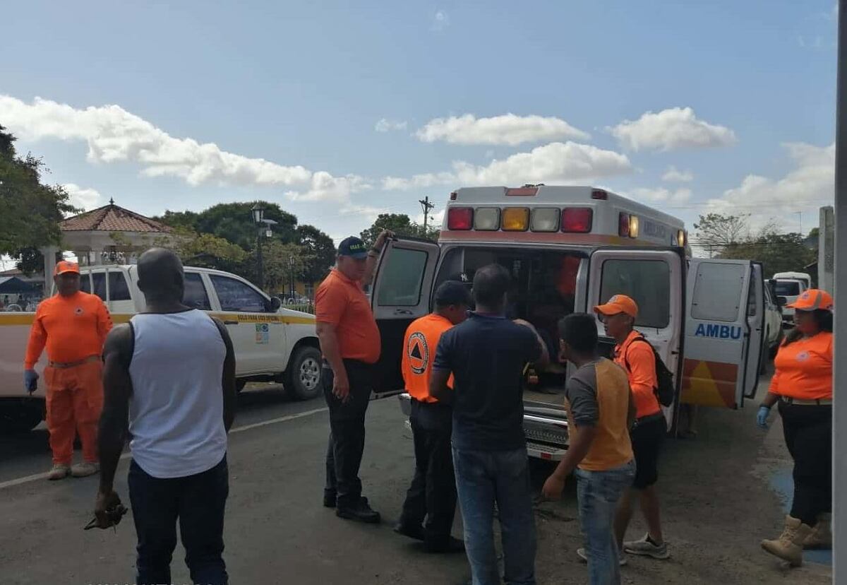 Familia es atacada por enjambre de abejas africanizadas