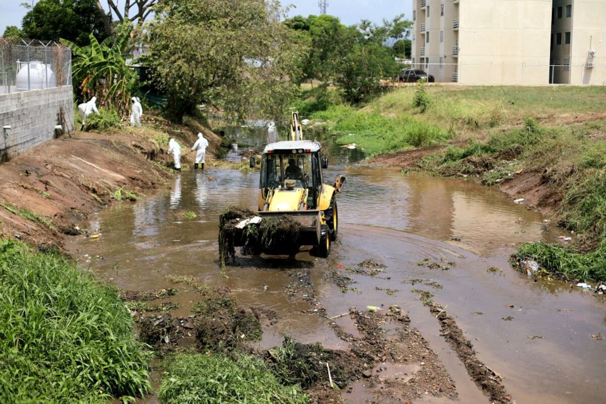 ¡Vertedero acuático! La Gallinaza revienta de basura y pone en jaque a Juan Díaz