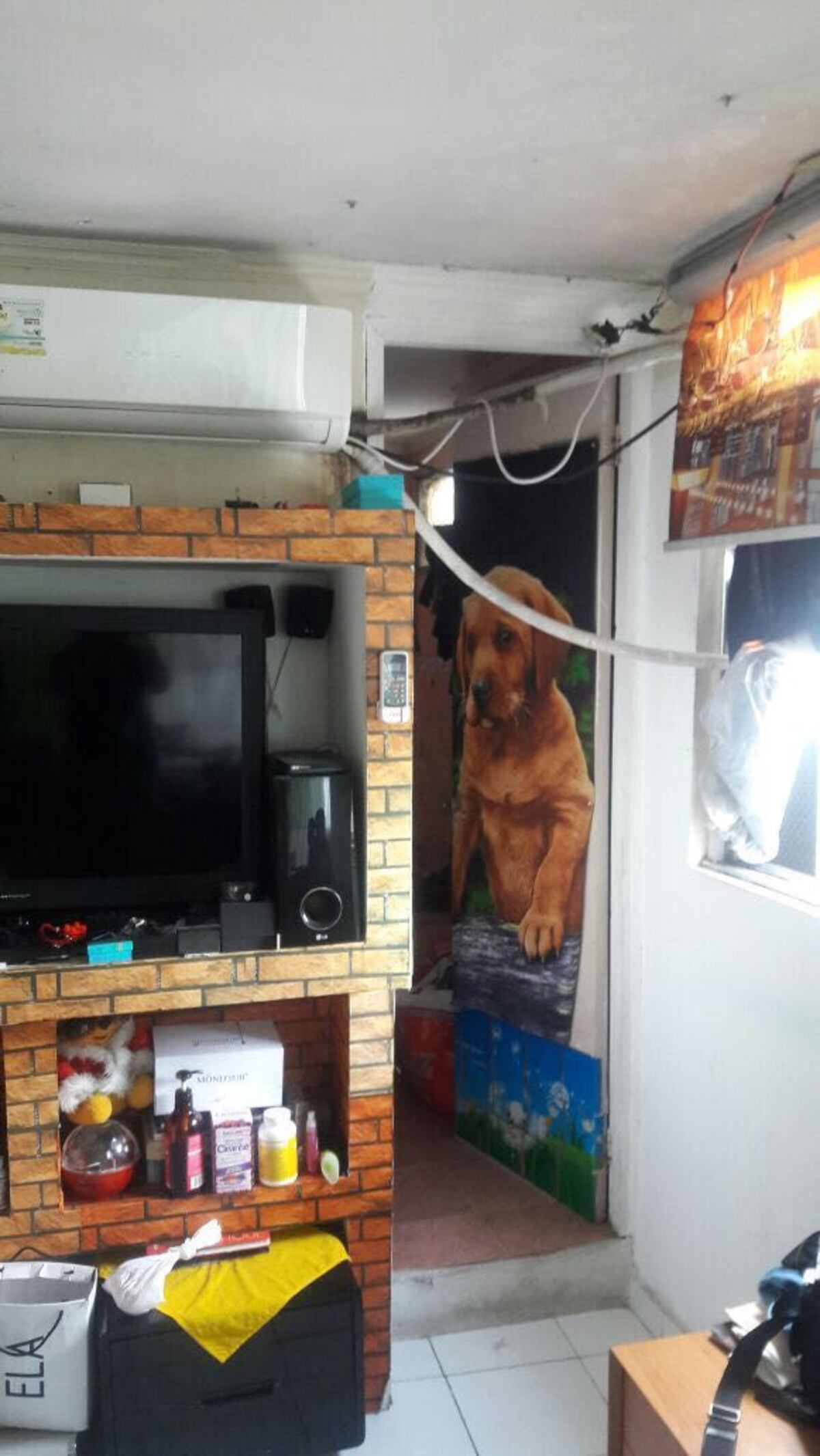 OPERATIVO SORPRESA. Detectan extranjeros hacinados en alquiler clandestino 