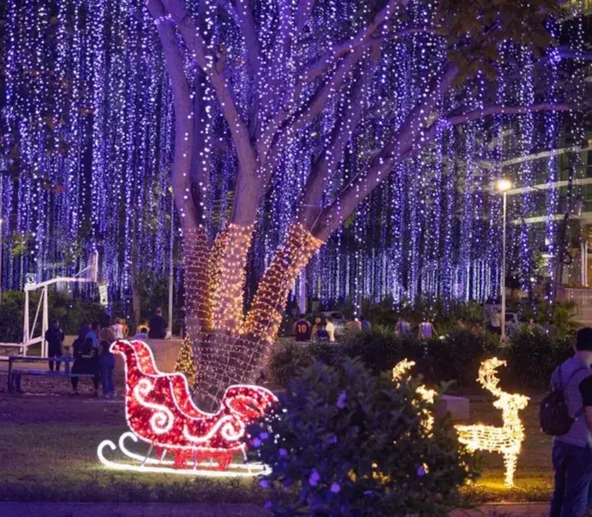 La Navidad 2026 llegará con luces a los 26 corregimientos