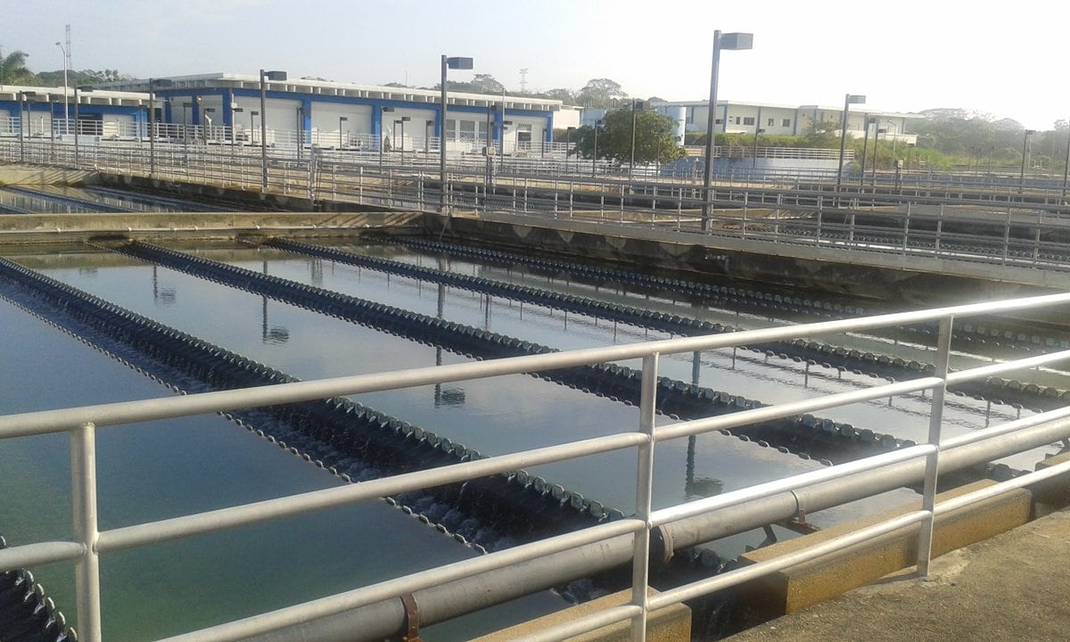 Recuerde que mañana sábado tiene que recoger agua