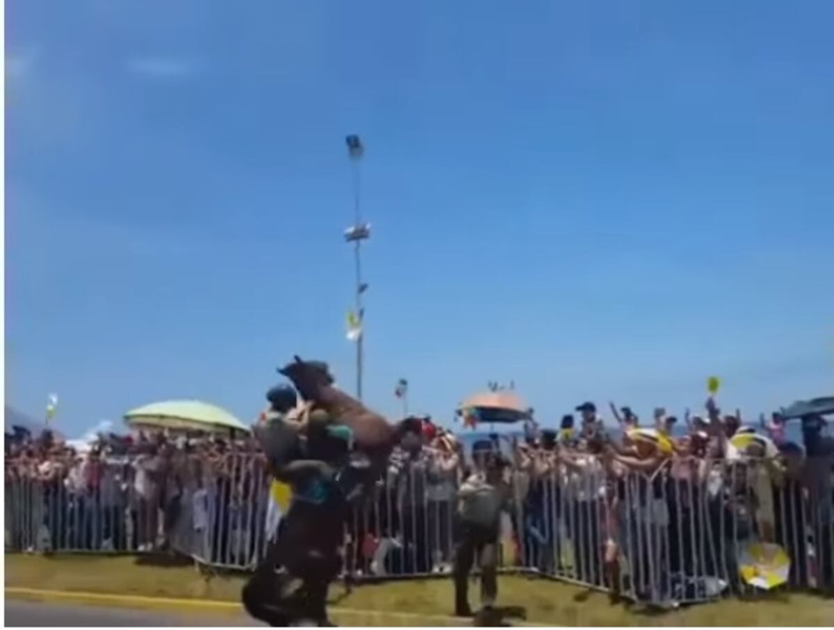 (VIDEO) El papa auxilió a policía chilena que se cayó de su caballo