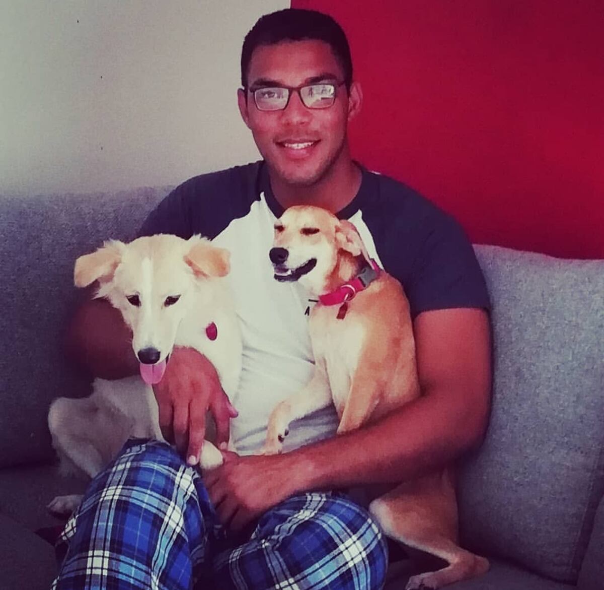 Alfredo Mitre nos recuerda la importancia del Día del perro Criollo 