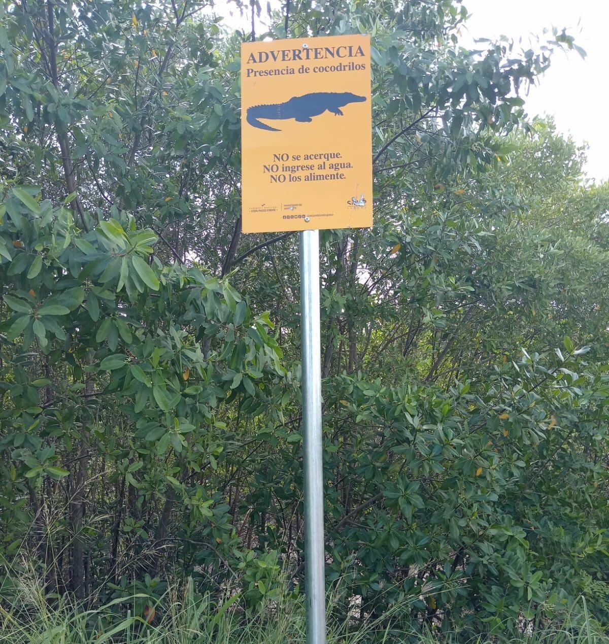 ¡Cuidado con los cocodrilos en tu barrio! MiAMBIENTE pone letreros de alerta en zonas peligrosas