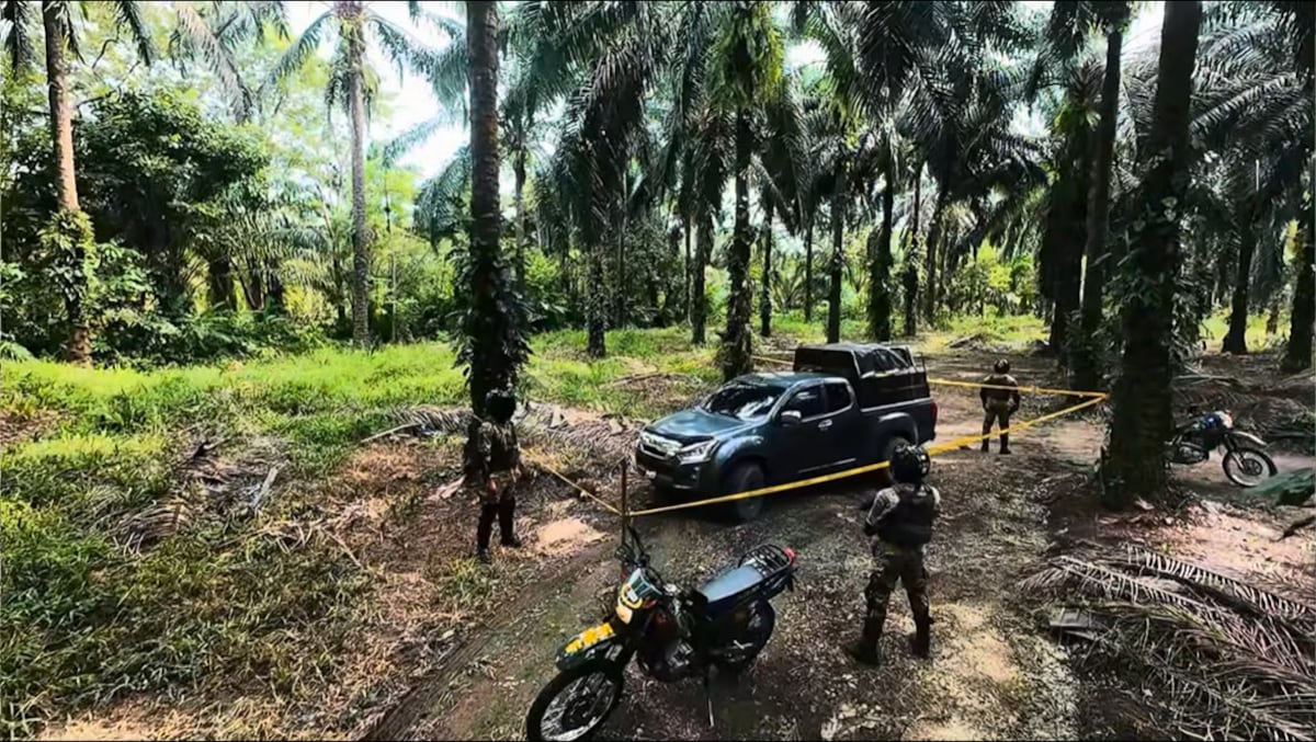 Hallan en una plantación de palma un pick-up presuntamente robado en Chiriquí