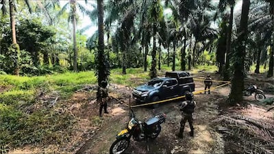 Hallan en una plantación de palma un pick-up presuntamente robado en Chiriquí
