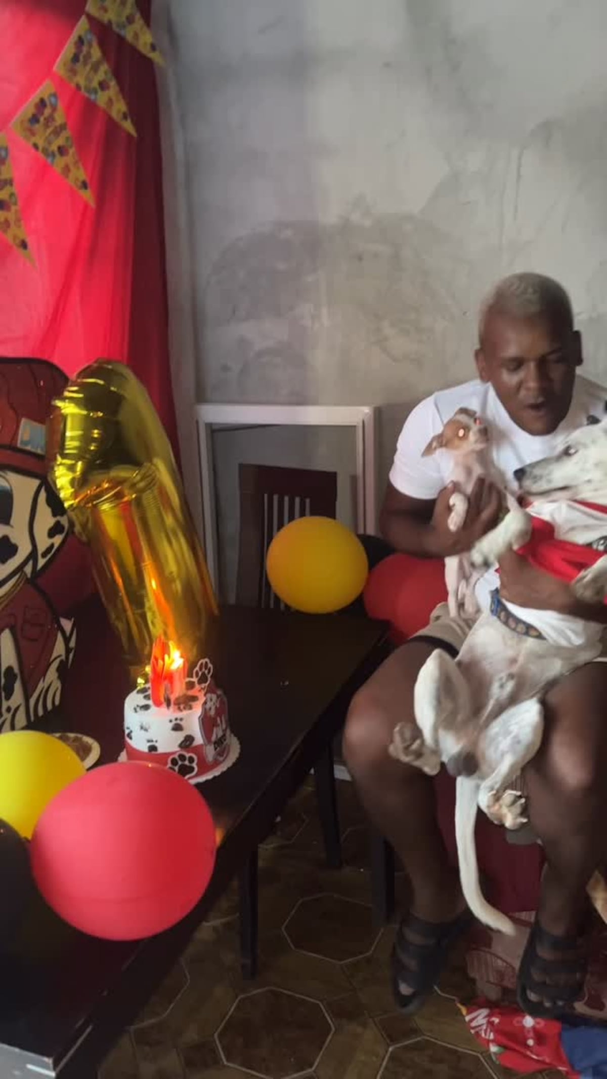 ¡Fiesta perruna! La Dikisima lo dio todo en el cumpleaños de su perro Diko Antonio