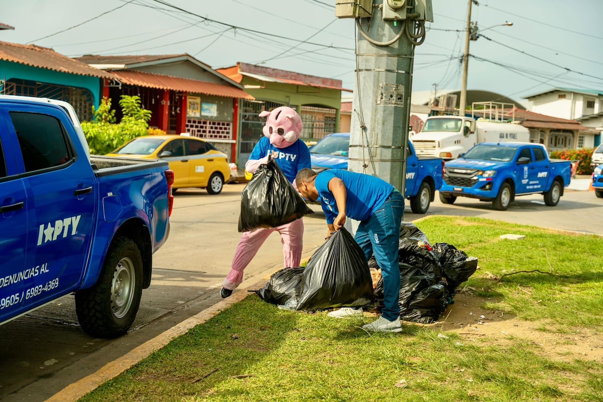 Alcaldía lanza ‘Cochinos PTY’