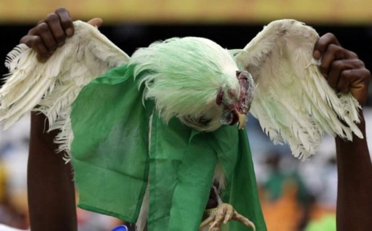 Rusia prohíbe a hinchas llevar gallinas vivas a estadios