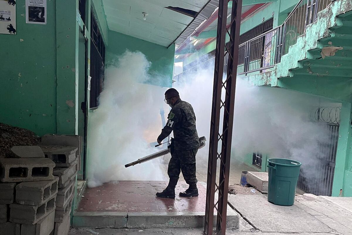 Alerta por dengue en Panamá: Aumentan casos en Las Garzas, 24 de Diciembre y Las Mañanitas