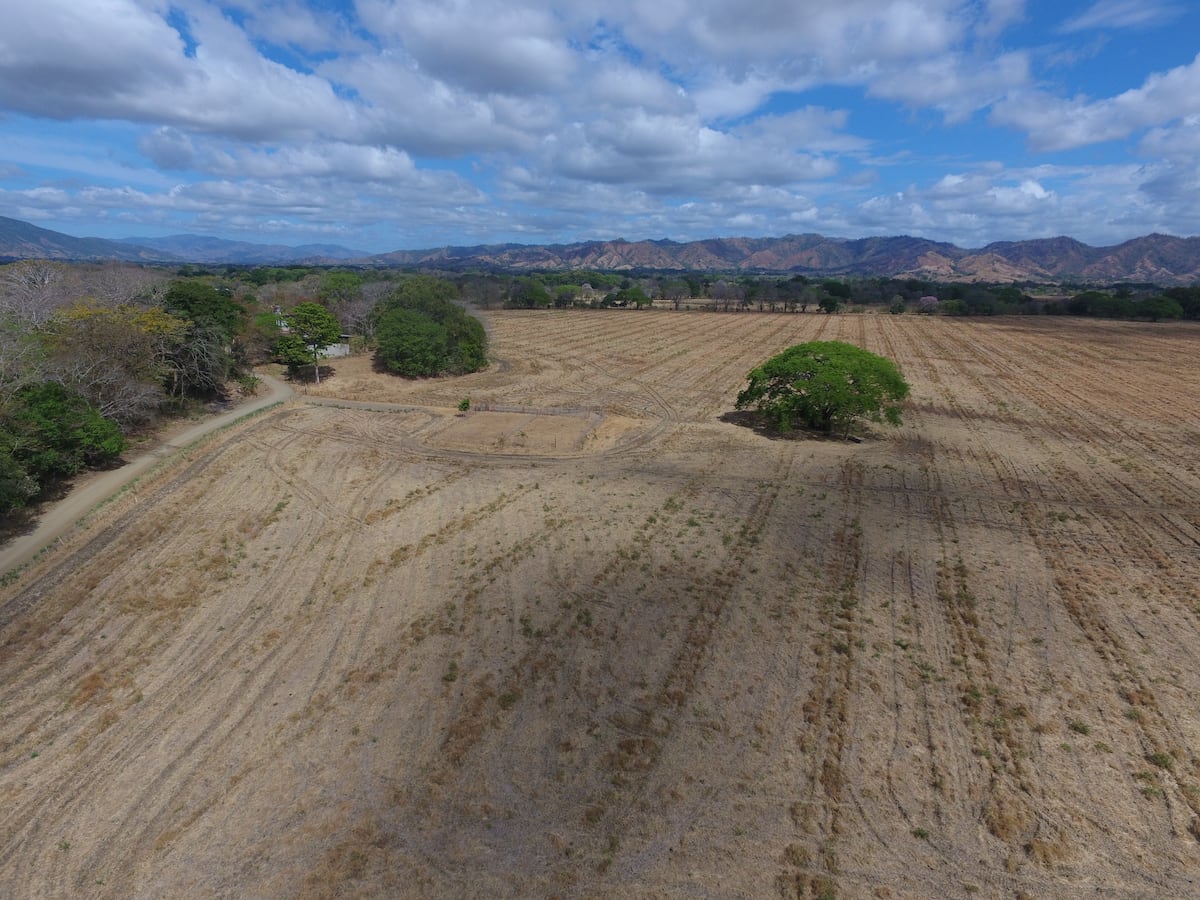 Alerta en Panamá: el 32% del país sufre por la erosión y la deforestación