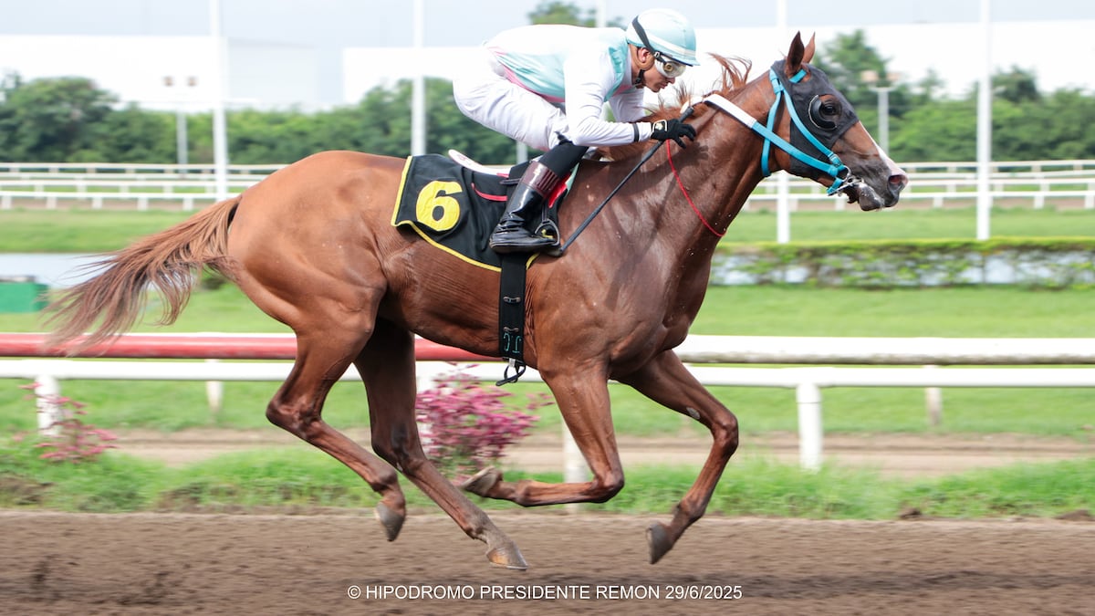 Serie Hípica del Caribe 2025: Se conoce lista preliminar  de ejemplares al Caribe