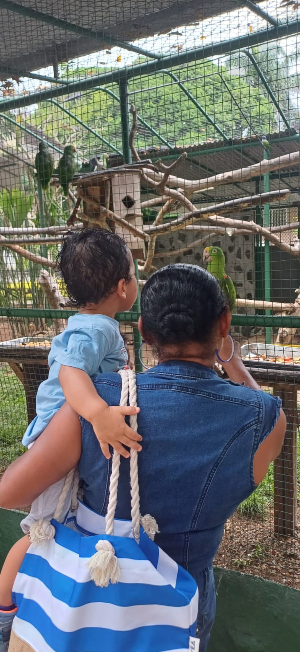 Los pelaitos salieron sin huevo de Pascua del Summit