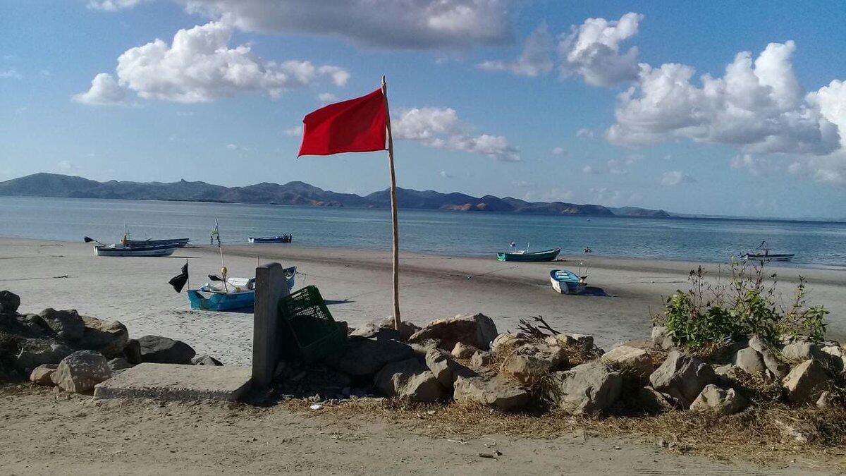 Prohíben ingreso en playas de Panamá Oeste tras picaduras a bañistas