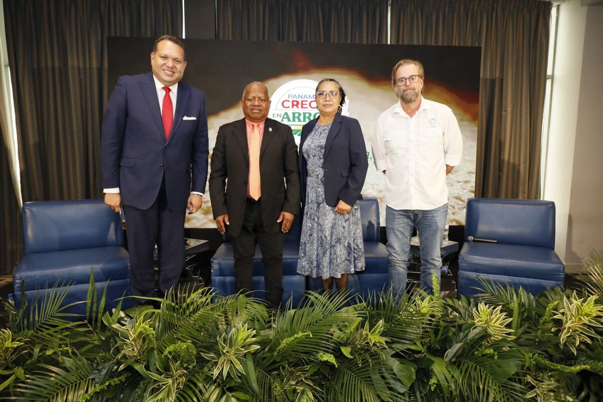 Le meten billete al arroz: plan busca producir más en Panamá