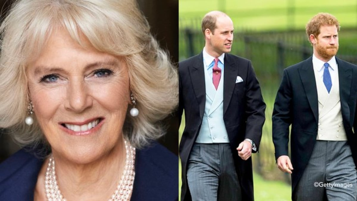 Harry contó por primera vez la verdad sobre su relación con la amante de su papá