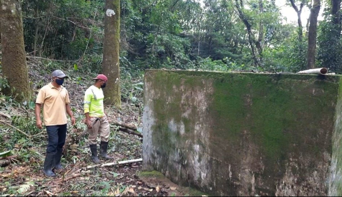 Les salieron murciélagos cuando limpiaban tanque de agua en Veraguas