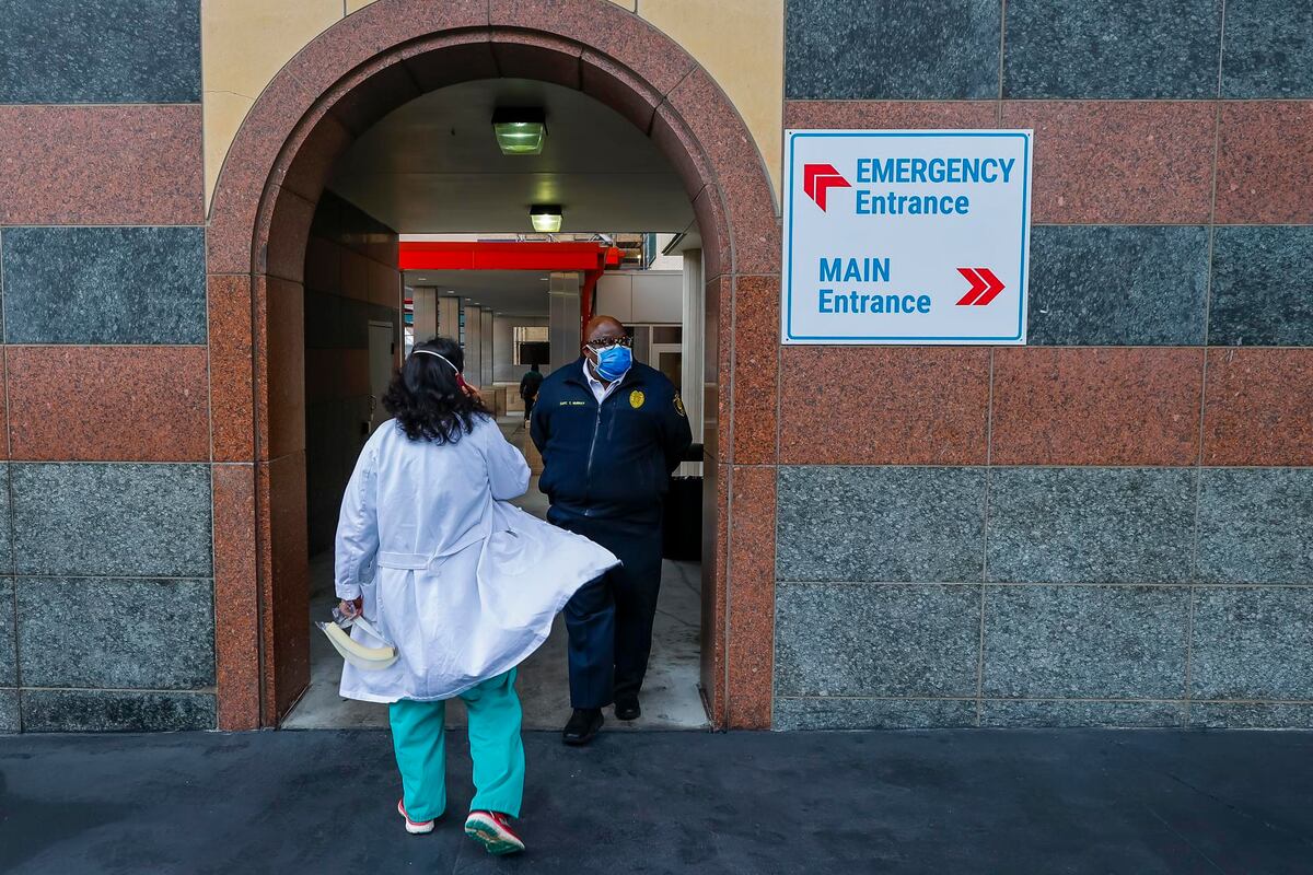 Hubo aumento de casos de infección con un hongo superresistente en EE.UU.