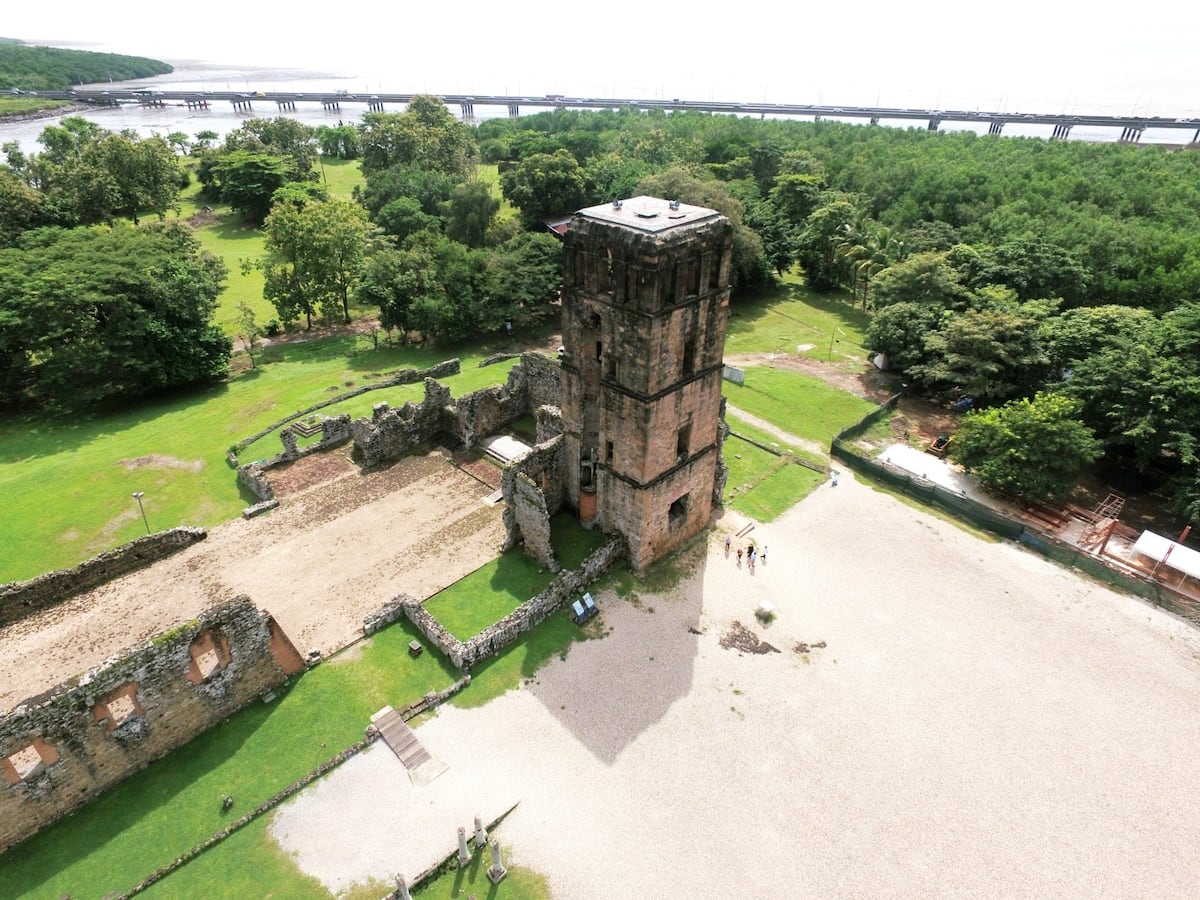 Los Humedales de Panamá Viejo: Un Refugio Natural en la Ciudad