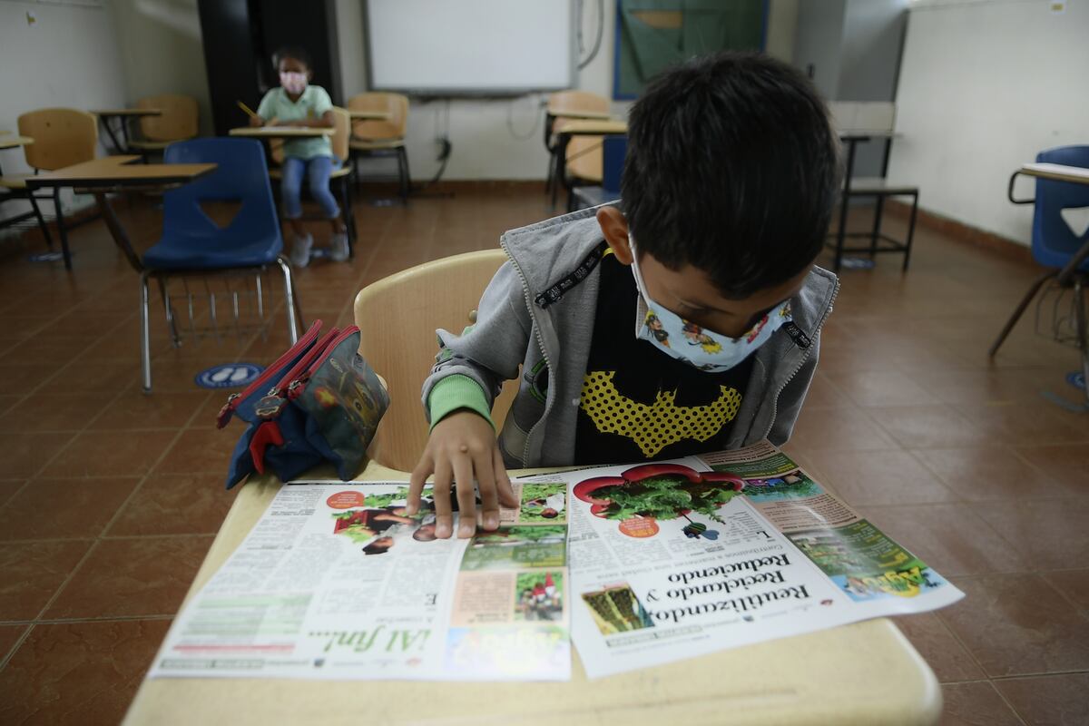 A cultivar desde la comodidad de su casa