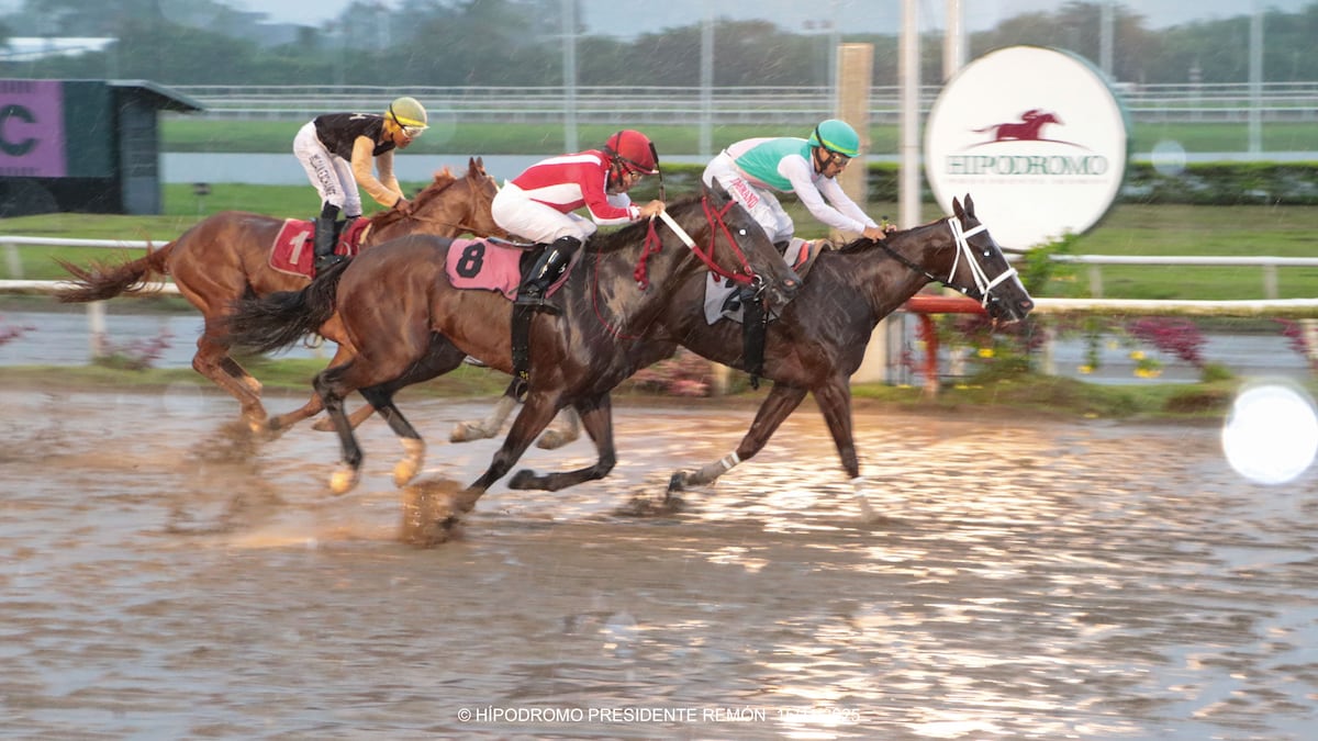 ¡Arrancó el entrenamiento para la Serie Hípica del Caribe 2025!