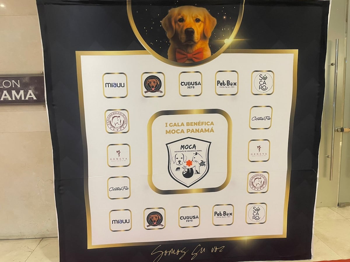 MOCA celebra su primera gala benéfica por los peludos: ‘Vidas que dependen de nosotros’