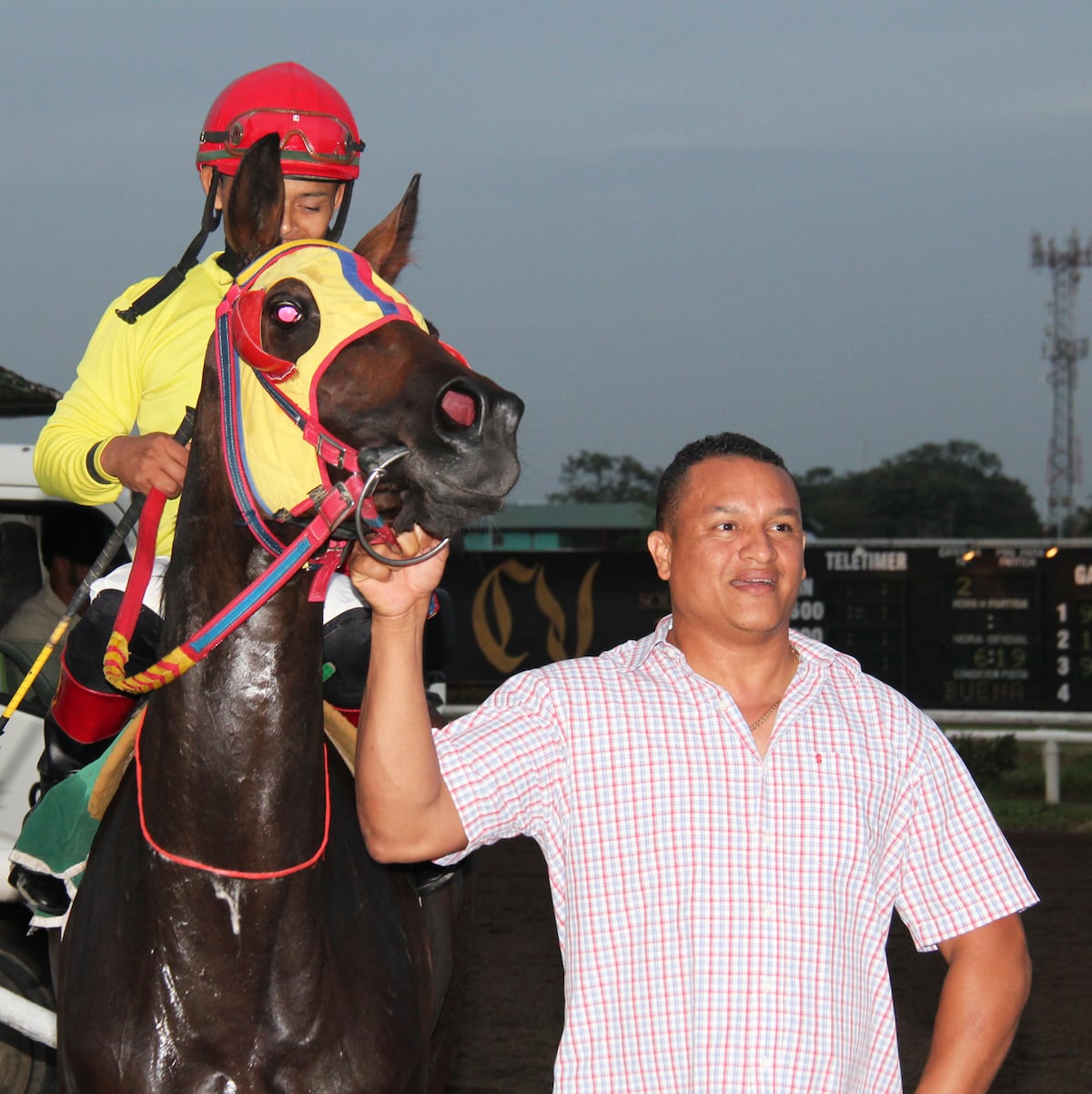 Rodrigo Jaén, el preparador que no afloja y manda en la hípica