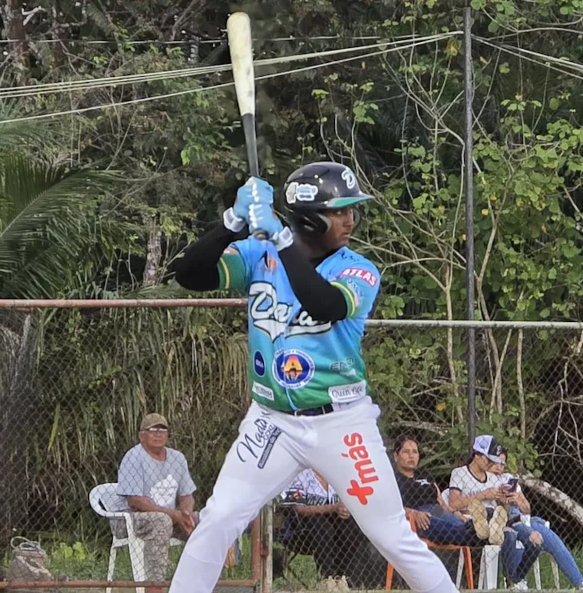 Fedebeis anuncia ganadores y sorpresas en el Béisbol Mayor