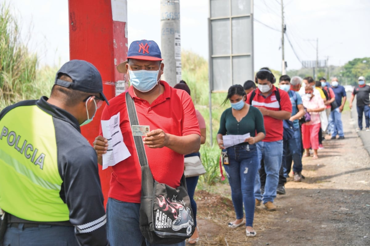 Mici advierte que quienes vendan los salvoconductos les caerá el peso de la ley