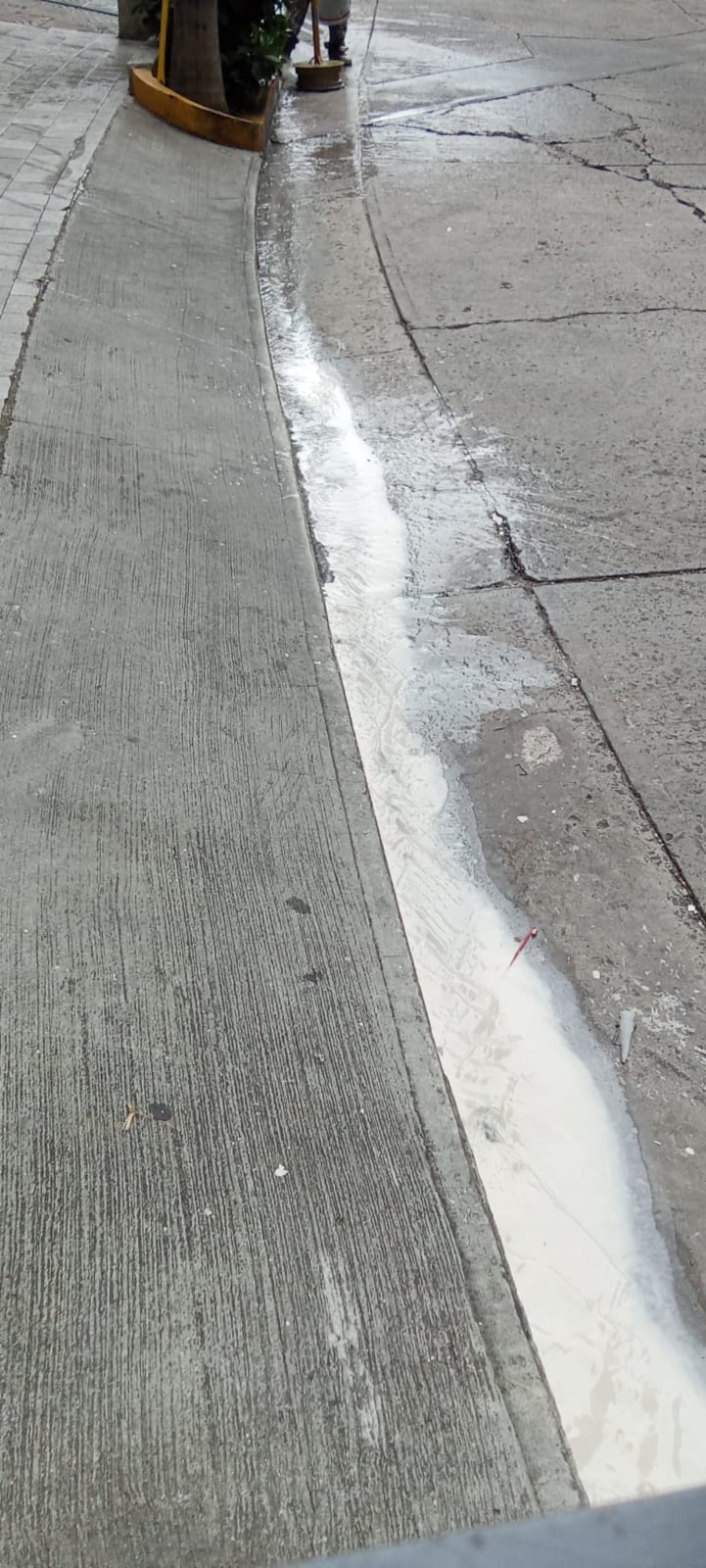 Pintura al mar en Paitilla pone a un PH contra la pared